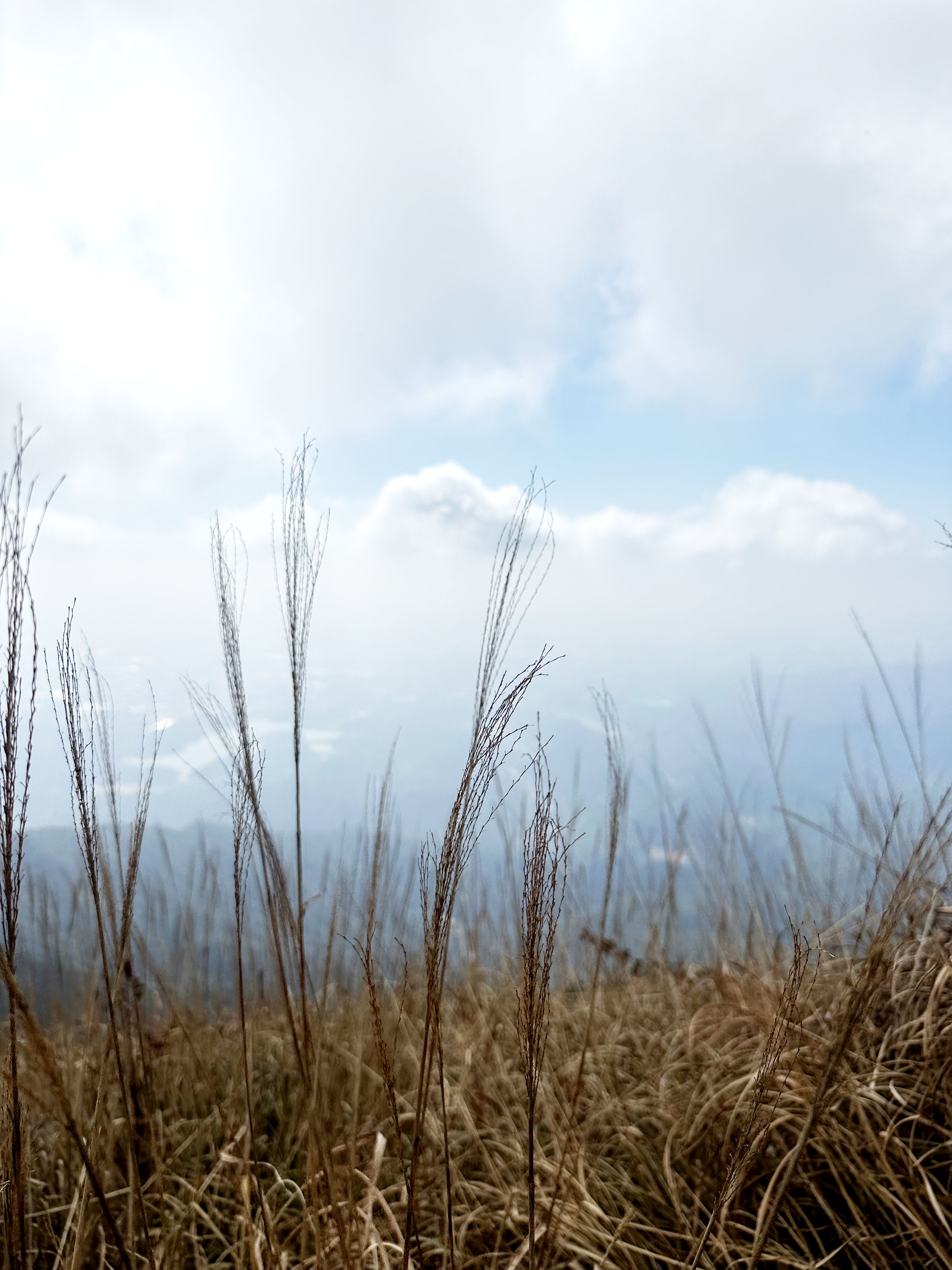 微信图片_20240120154319.jpg 万有引力活动