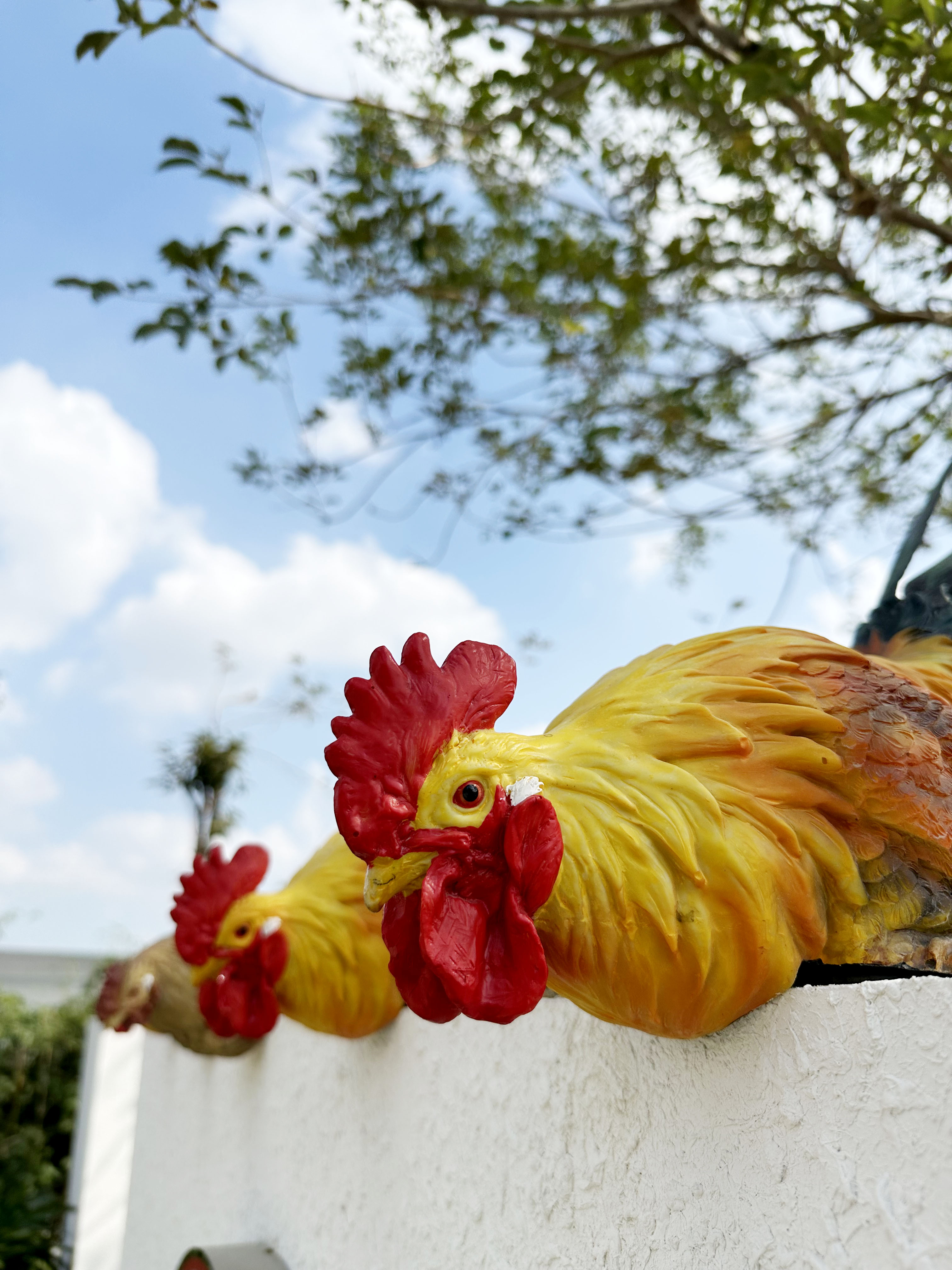 微信图片_20240130162050.jpg 万有引力活动